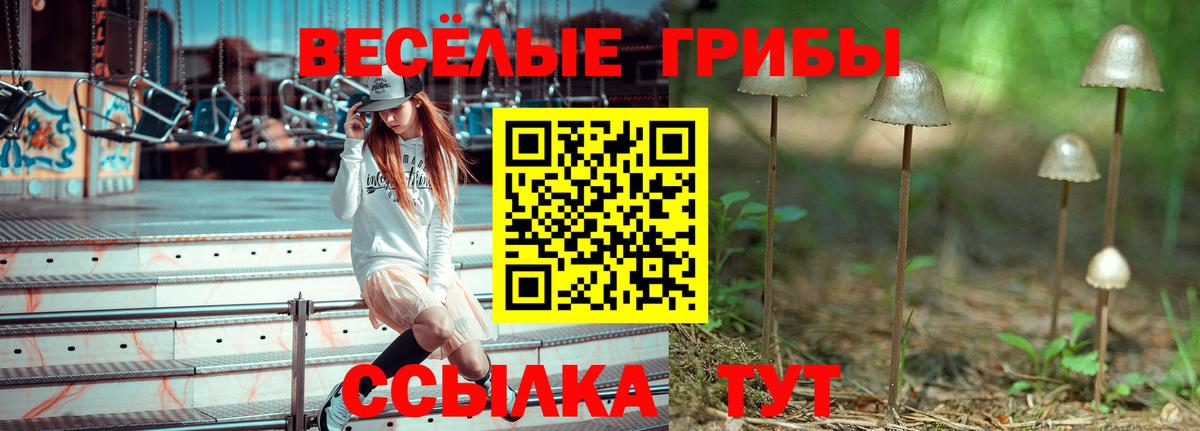 Галлюциногенные грибы Cubensis Ярцево